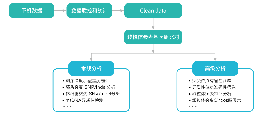 线粒体突变分析-数据分析-OKPay钱包基因 线粒体突变分析-数据分析-OKPay钱包基因
