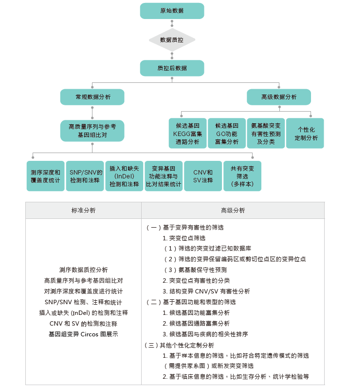 全基因组重测序-生信分析流程-OKPay钱包基因