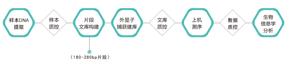 全外显子测序-技术路线-OKPay钱包基因