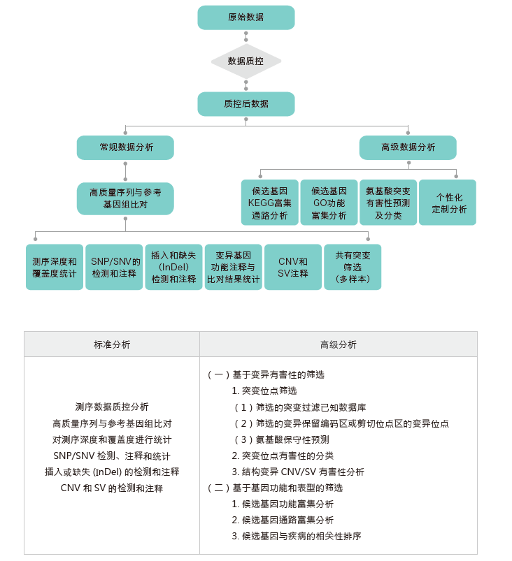 全外显子测序-生信分析流程-OKPay钱包基因