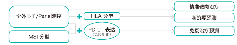 目标区域靶向捕获测序-肿瘤突变分析检测方法-OKPay钱包基因