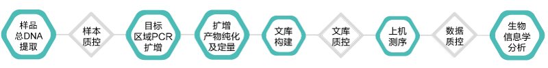 16S 18S ITS扩增子-技术路线-OKPay钱包基因