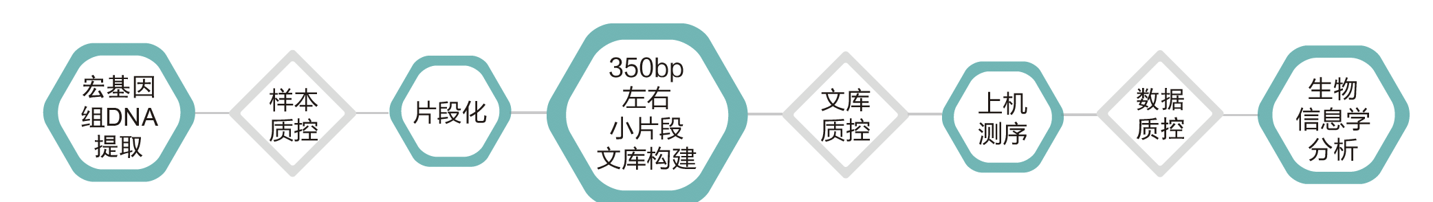 宏基因组测序-技术路线-OKPay钱包基因