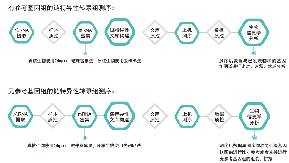 转录组测序-技术路线-OKPay钱包基因