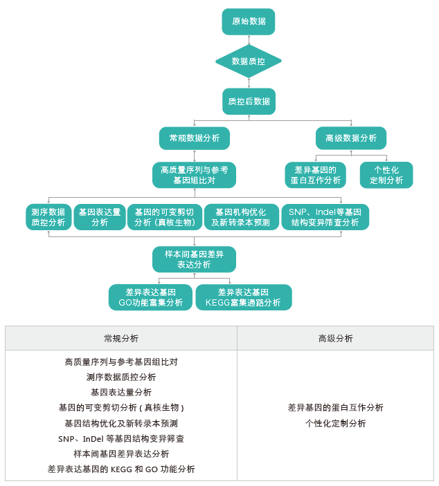 转录组测序-生信分析流程（有参）-OKPay钱包基因