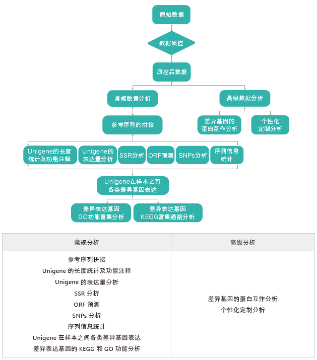 转录组测序-生信分析流程（无参）-OKPay钱包基因