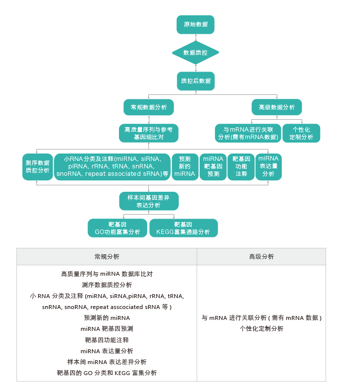 小RNA（small RNA）测序-生信分析流程-OKPay钱包基因