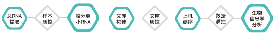 小RNA（small RNA）测序-技术路线-OKPay钱包基因