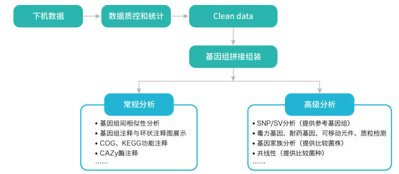微生物基因组重测序-分析-OKPay钱包基因