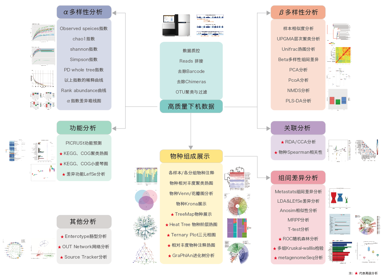 16S/18S/ITS扩增子测序-生信分析流程-OKPay钱包基因
