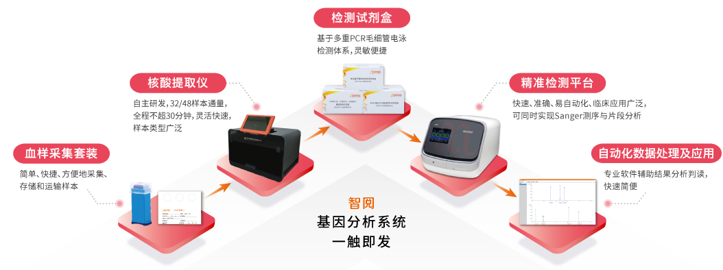 智阅基因分析系统-OKPay钱包基因