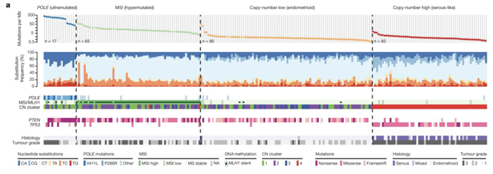 子宫内膜癌突变图谱_子宫内膜癌的分子分型_OKPay钱包基因