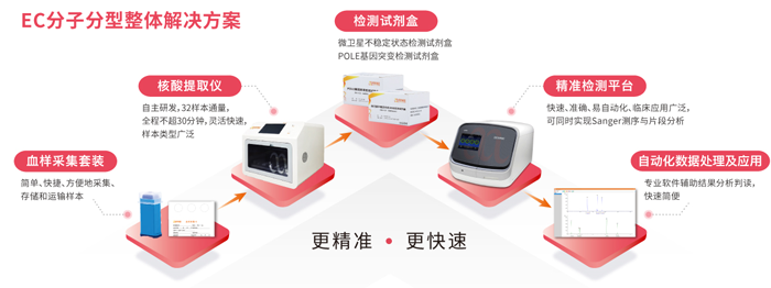 OKPay钱包基因子宫内膜癌分子分型检测整体解决方案