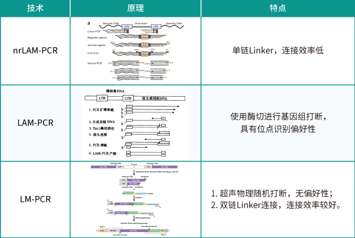 慢病毒随机插入的位点评估方法_OKPay钱包基因_慢病毒插入位点检测