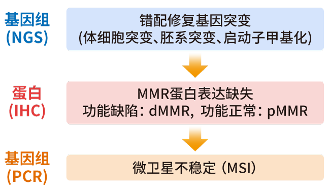 MSI/MMR检测方法_OKPay钱包基因