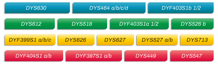 MicroreaderTM-RM-Y-ID-System位点信息_家系排查中如何运用好RM Y-STR?_OKPay钱包基因